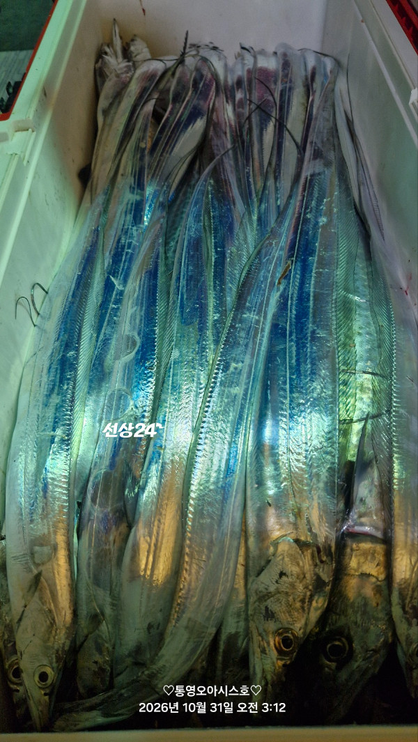 85495.jpg