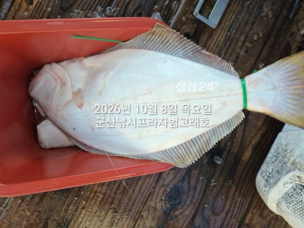 KakaoTalk_20261008_163832700_07.jpg