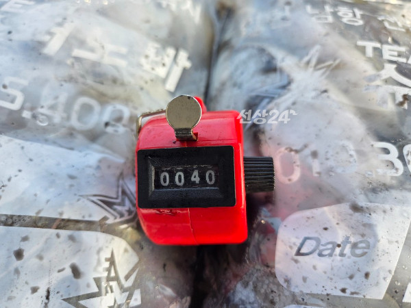 25006.jpg