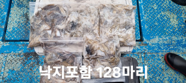 KakaoTalk_20261004_194946922.jpg