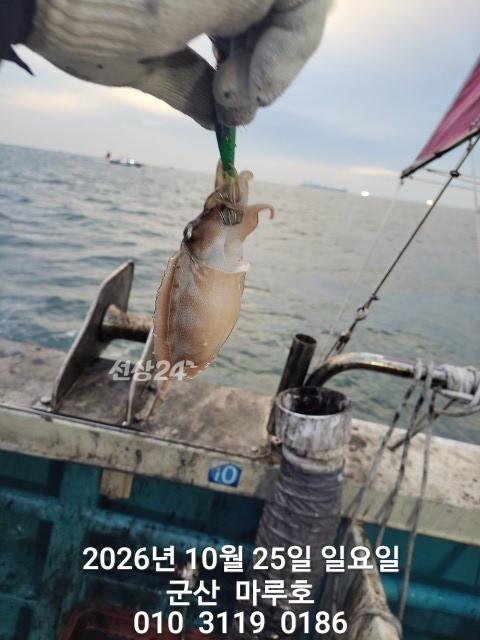 KakaoTalk_20261025_163308652_02.jpg