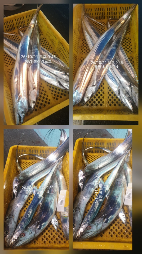 KakaoTalk_20261014_100554675_05.jpg