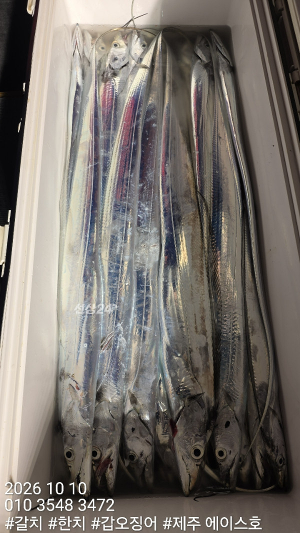 KakaoTalk_20261010_132736824_14.jpg