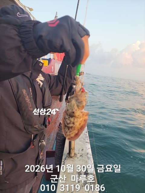 KakaoTalk_20261030_163940516_11.jpg