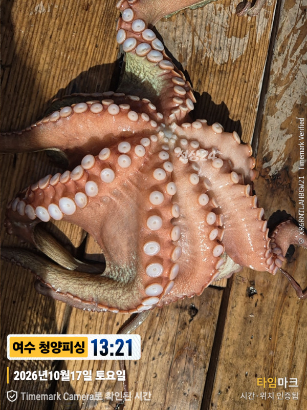 20261017_132126_제목-여수 청양피싱.jpg