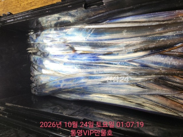 1000052772.jpg