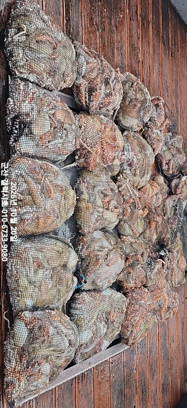KakaoTalk_20261020_222255277.jpg