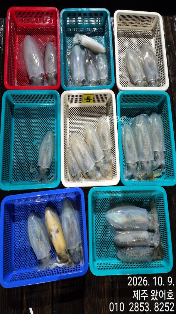 제주왔어호_사진_20261010_9.jpg