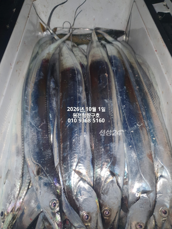 KakaoTalk_20261001_132603487_01.jpg