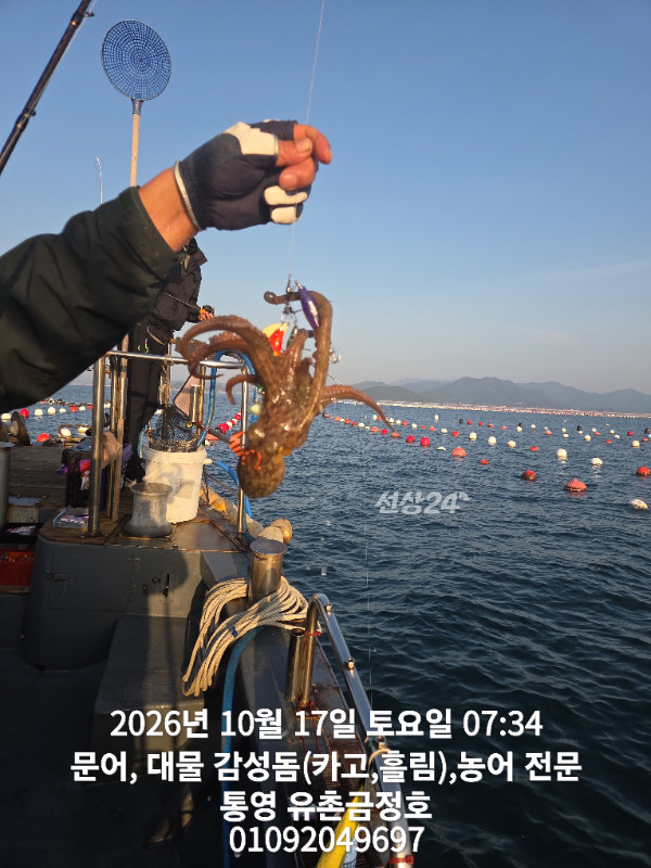 1000062779.jpg