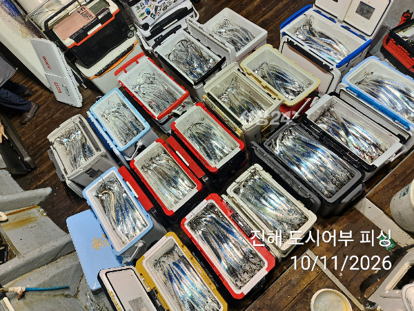 KakaoTalk_20261011_050252101_10.jpg