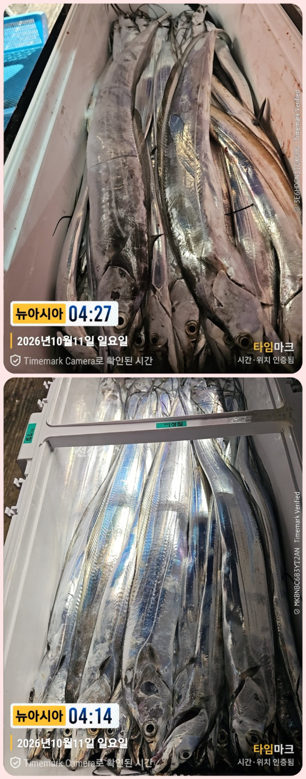 KakaoTalk_20261011_063154691_07-down.jpg