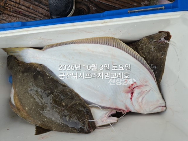 KakaoTalk_20261003_144137408_10.jpg