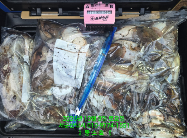 군산 선상낚시, 바다낚시 출조 전문 ☆서군산낚시☆_사진_20261003_1.jpg