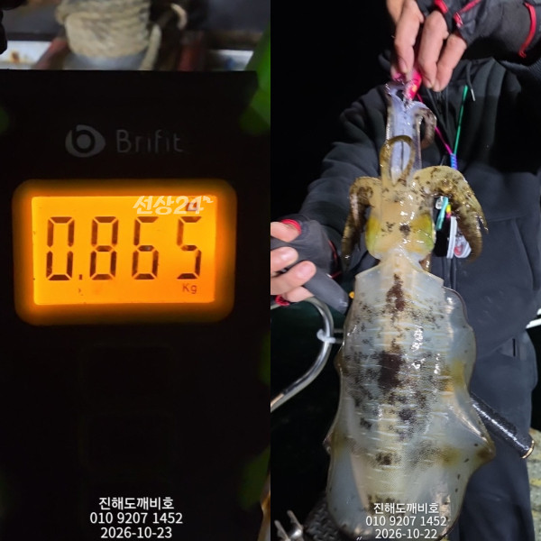 9819.jpg