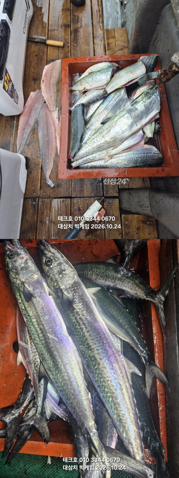 KakaoTalk_20261024_125051924_03-vert.jpg