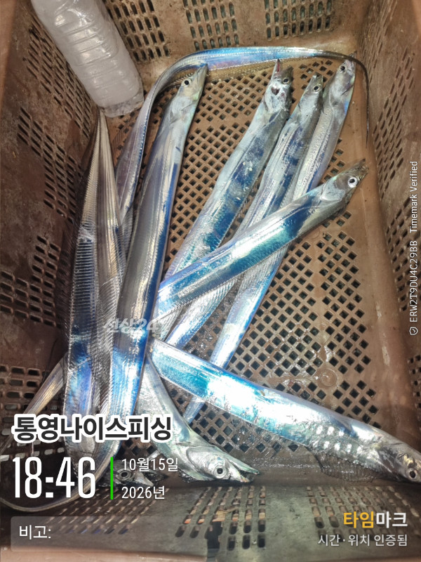 20261015_184640_글꼴-통영나이스피싱.jpg
