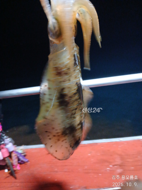 KakaoTalk_20261009_235837525_08.jpg
