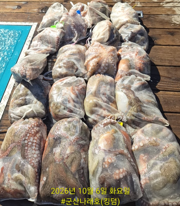 KakaoTalk_20261006_155217746_01.jpg