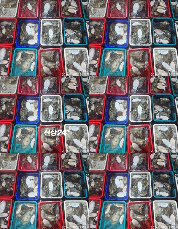 1793314666837-tile.jpg