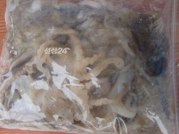 105.jpg