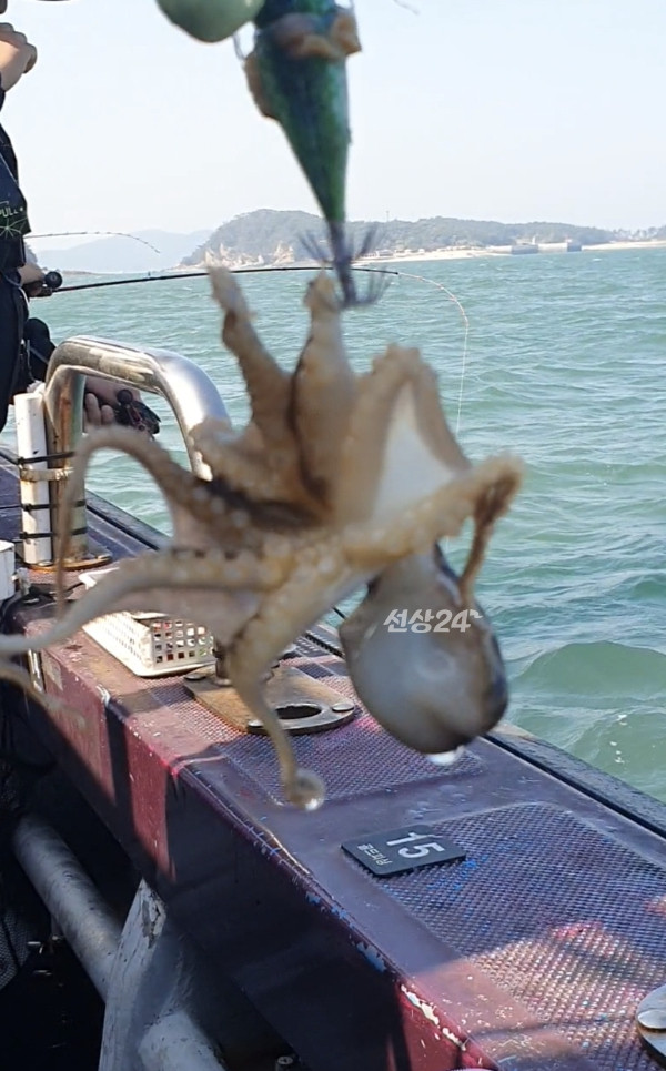 Screenshot_20261017_130114_Video Player.jpg