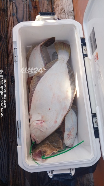 [크기변환]KakaoTalk_20260930_171051675.jpg