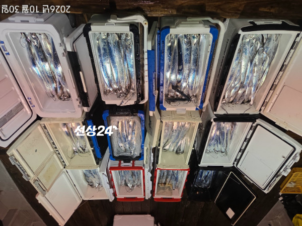 1793315896925.jpg