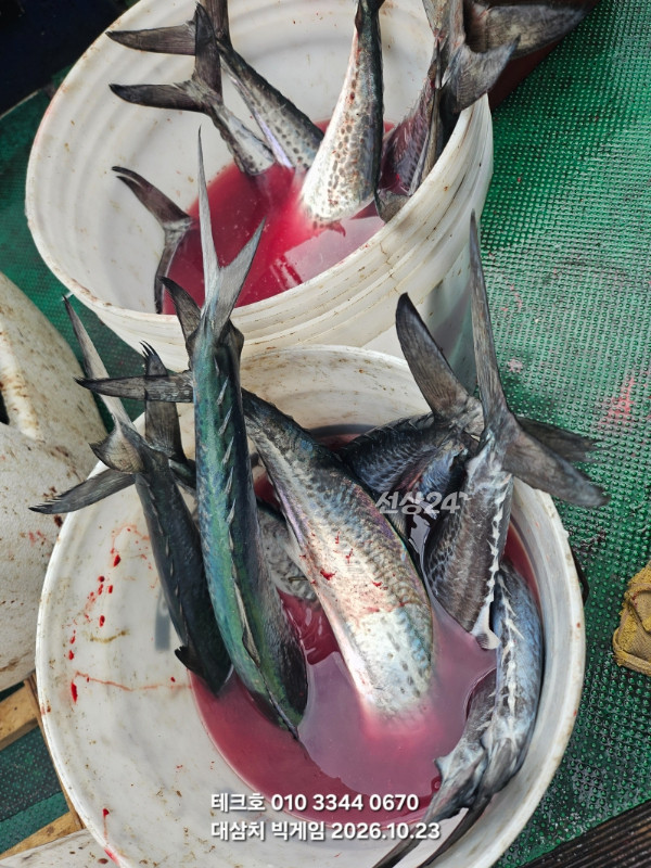KakaoTalk_20261023_084329462.jpg