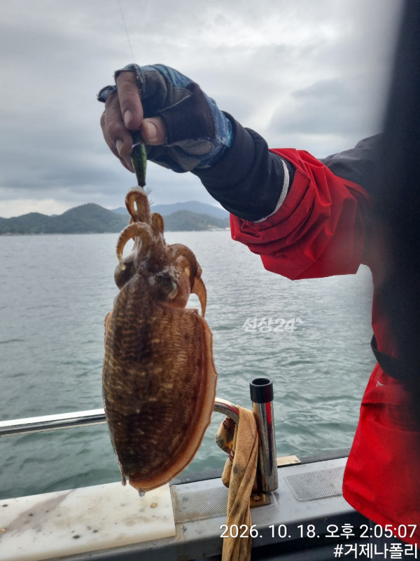 KakaoTalk_20261019_144132403_06.jpg