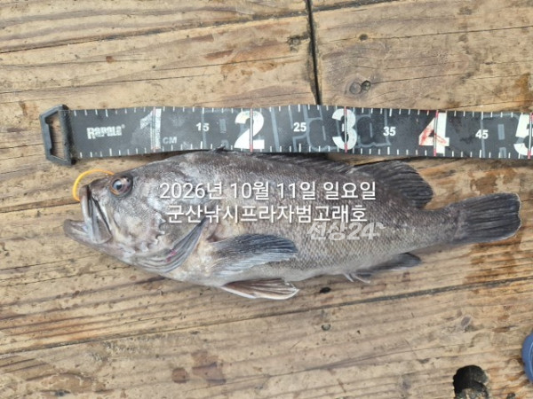 KakaoTalk_20261011_155448889_17.jpg