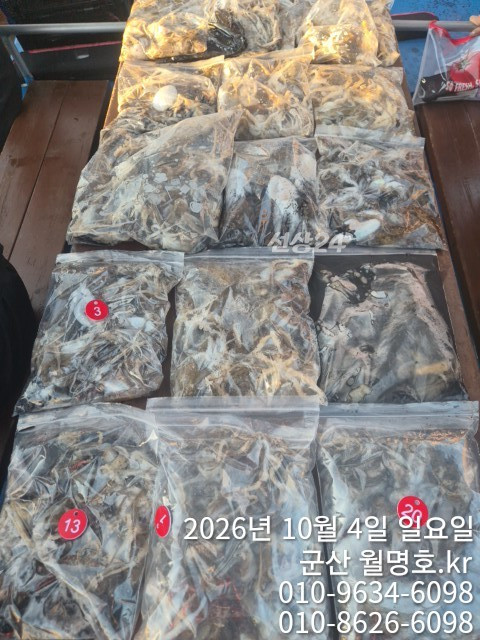 18111.jpg