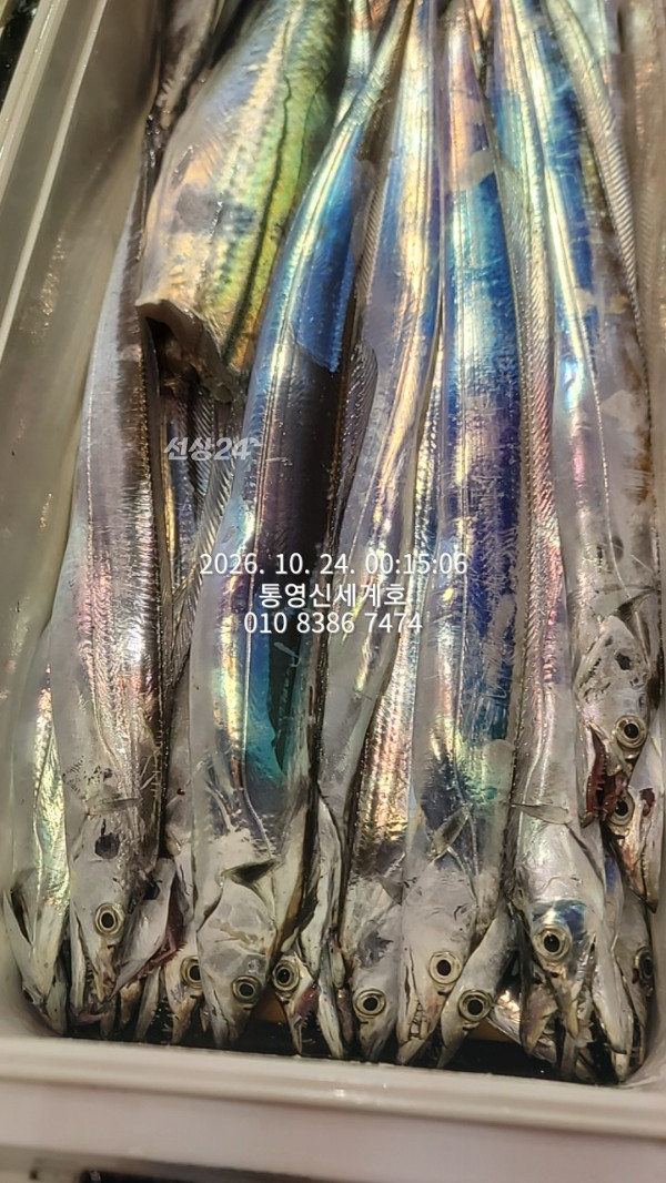 1792802505878.jpg