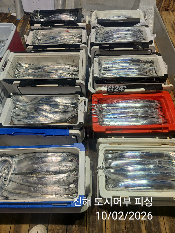KakaoTalk_20261002_051645074_13.jpg
