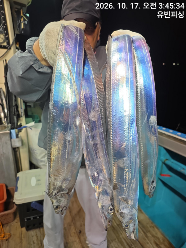 KakaoTalk_20261017_071402155_14.jpg