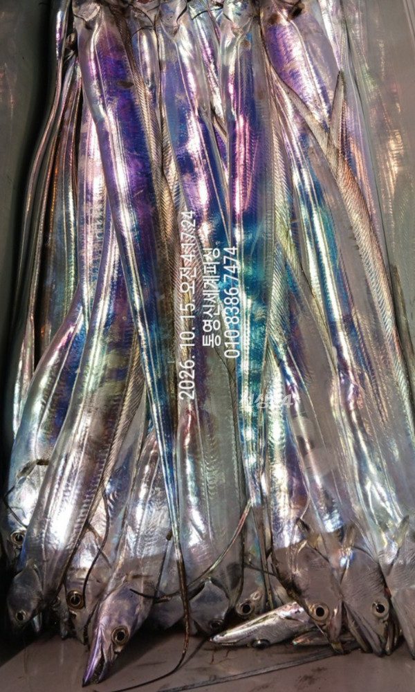 1792011405398.jpg