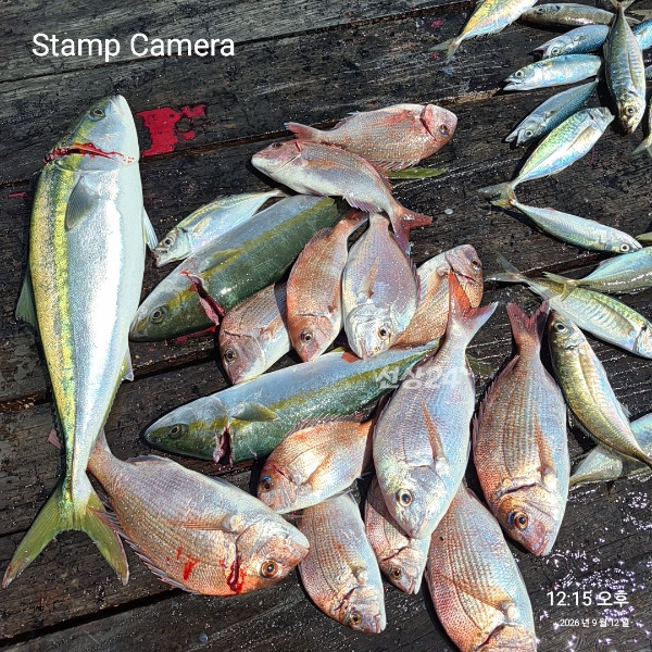 StampCamera20260912121541.jpg