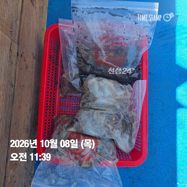 KakaoTalk_20261008_195803568_06.jpg