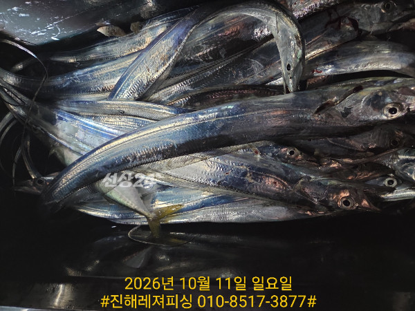 1000107429.jpg