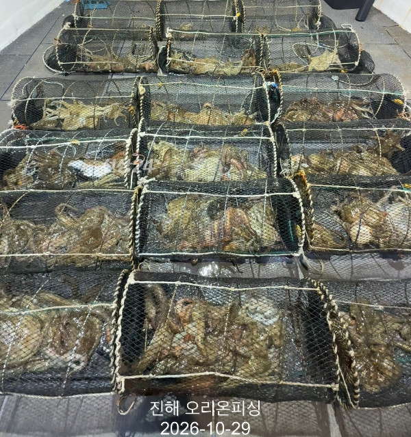 KakaoTalk_20261029_031942892_09.jpg