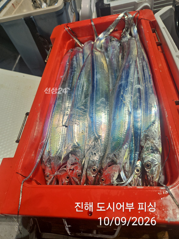KakaoTalk_20261009_063157918_14.jpg