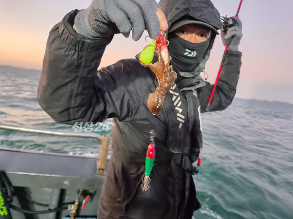 7959.jpg