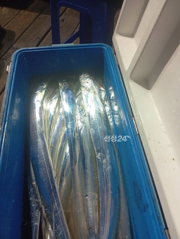 F91D7988-E896-4864-B062-83ADEEC083B6.jpeg