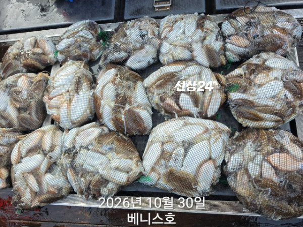 KakaoTalk_20261030_170617678.jpg