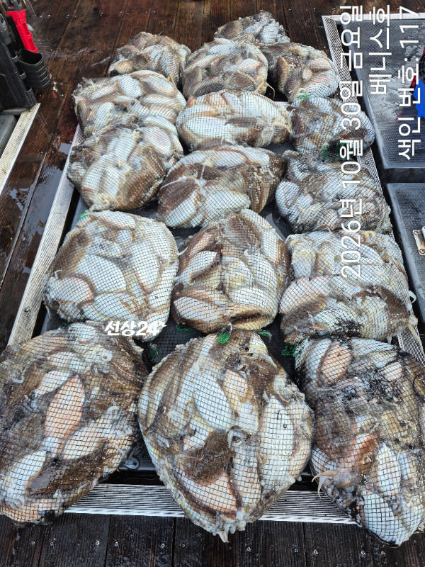 KakaoTalk_20261030_194742235_08.jpg