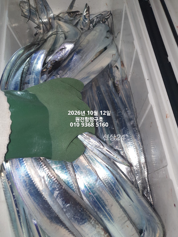 KakaoTalk_20261012_134836822_01.jpg
