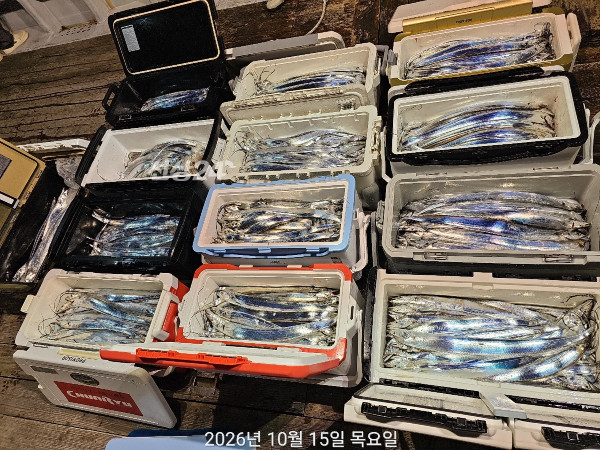ABE5D713-2C07-4012-BFEE-E3FF63C6A5FC.jpeg
