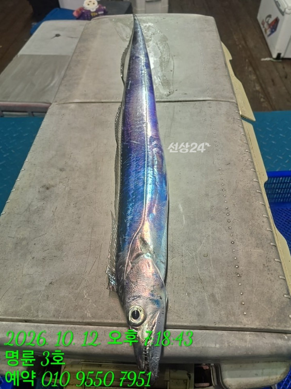 KakaoTalk_20261013_064242630_01.jpg