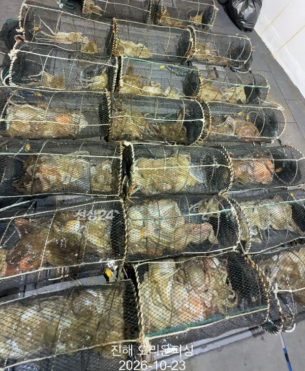 KakaoTalk_20261023_032153319_13.jpg