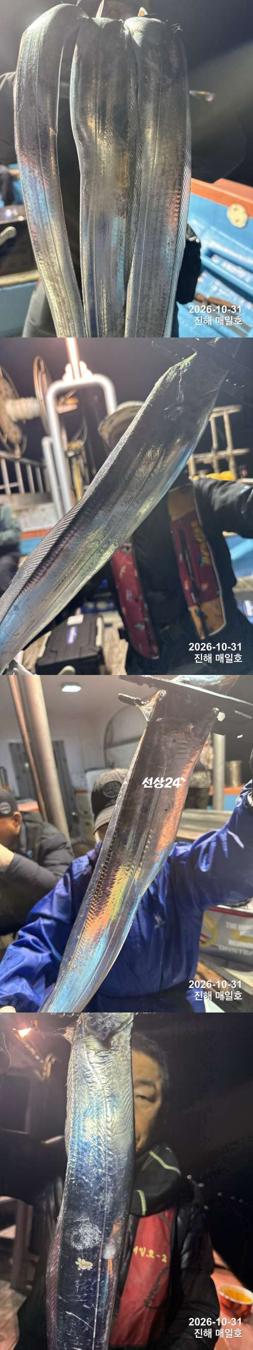 갈치1.jpg